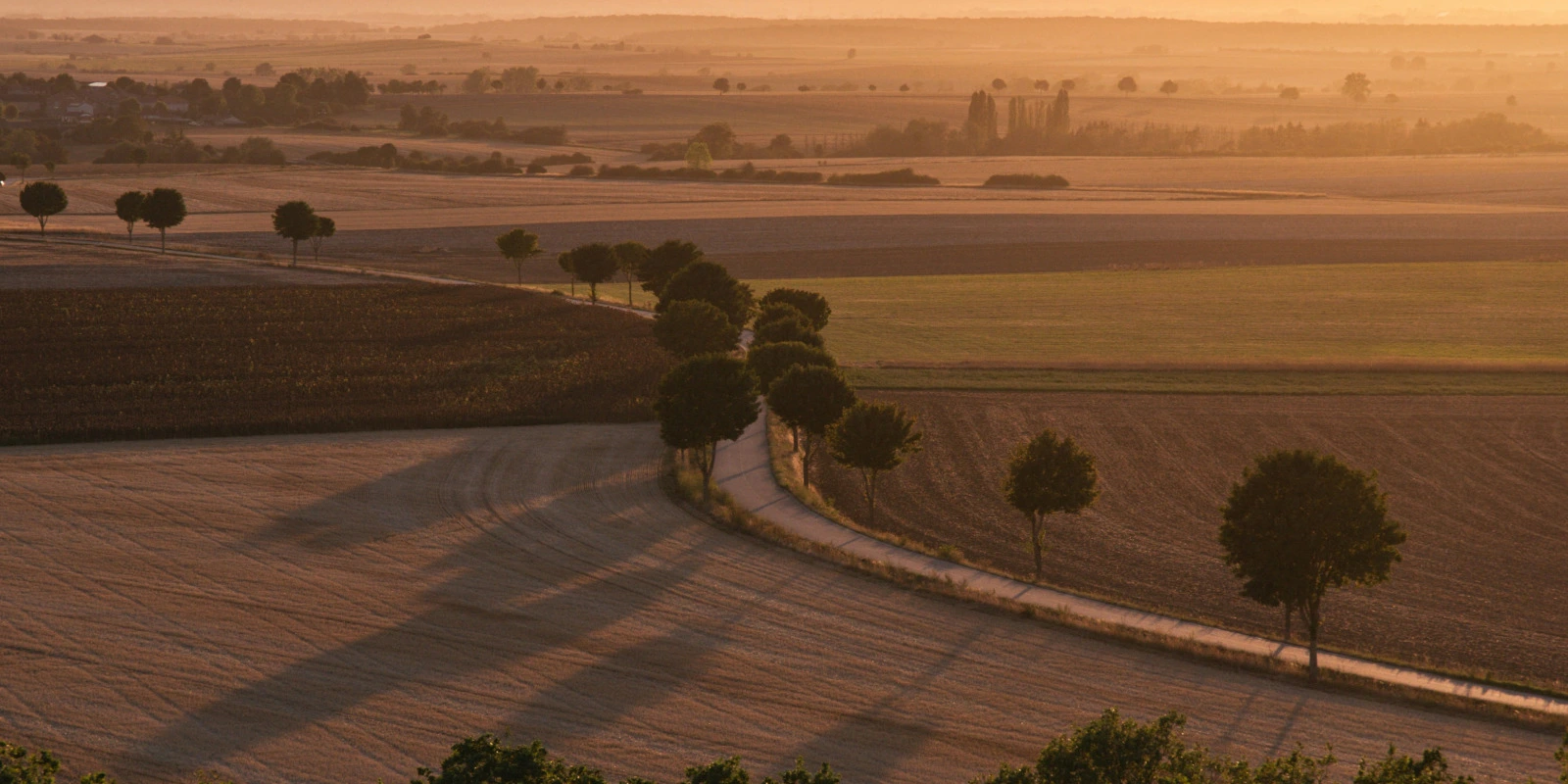 Cinéma et Littérature : Analyse des Adaptations de Œuvres Étrangères