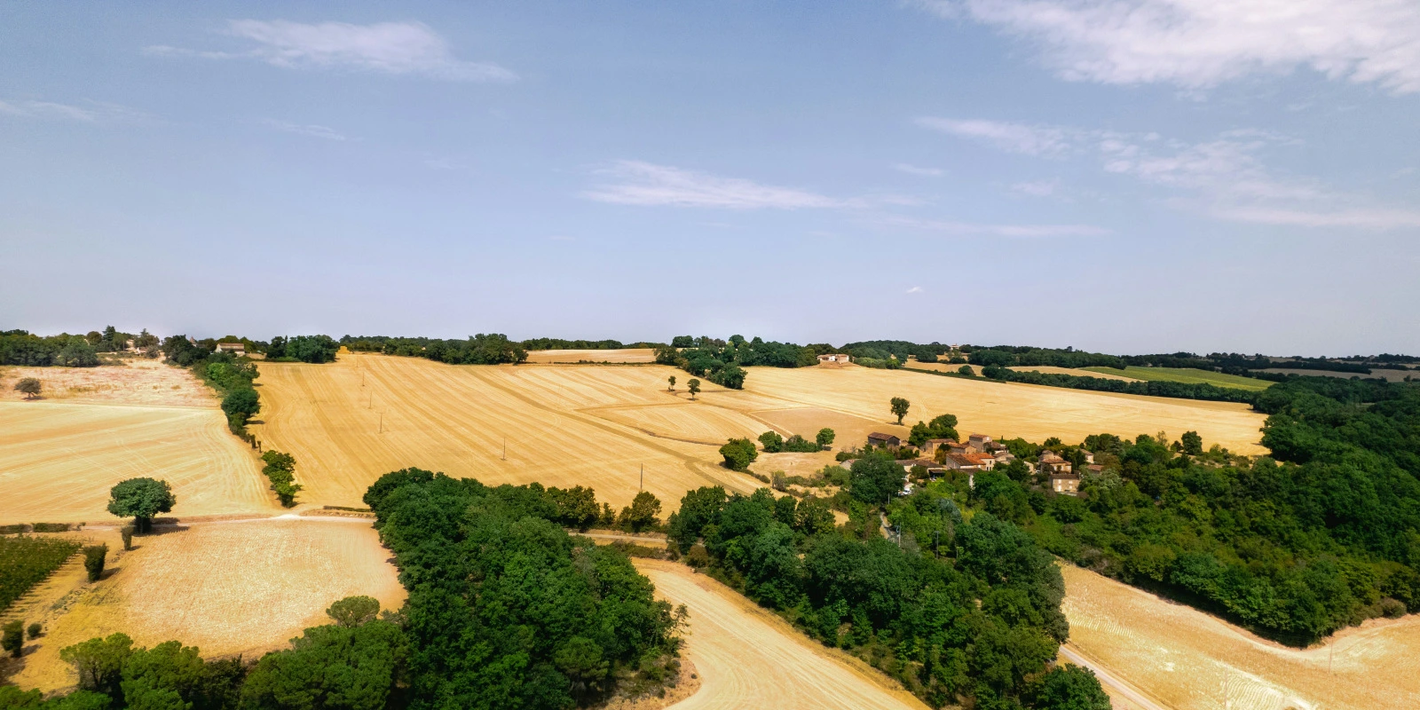 Gérer Son Emploi du Temps en Licence LLCE