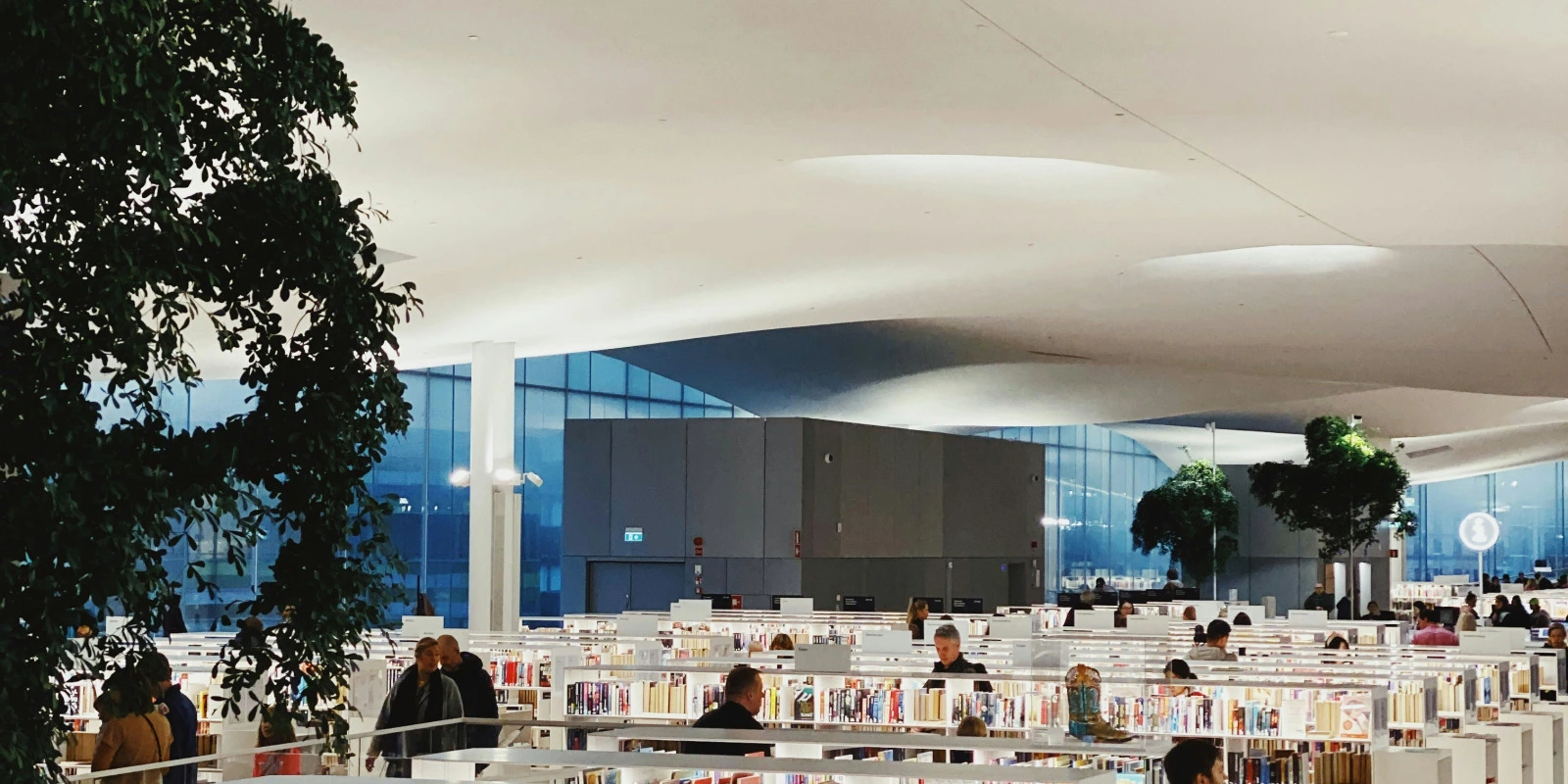 Les Débouchés D'une Licence LLCE Espagnol