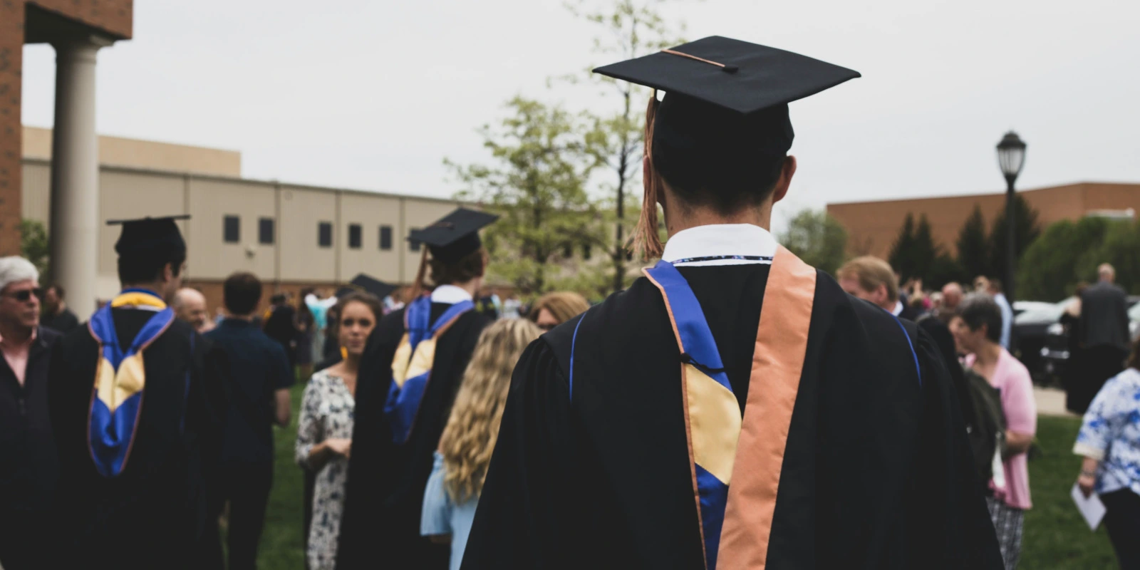 Licence LLCE Anglais : Programme et Emplois du Temps