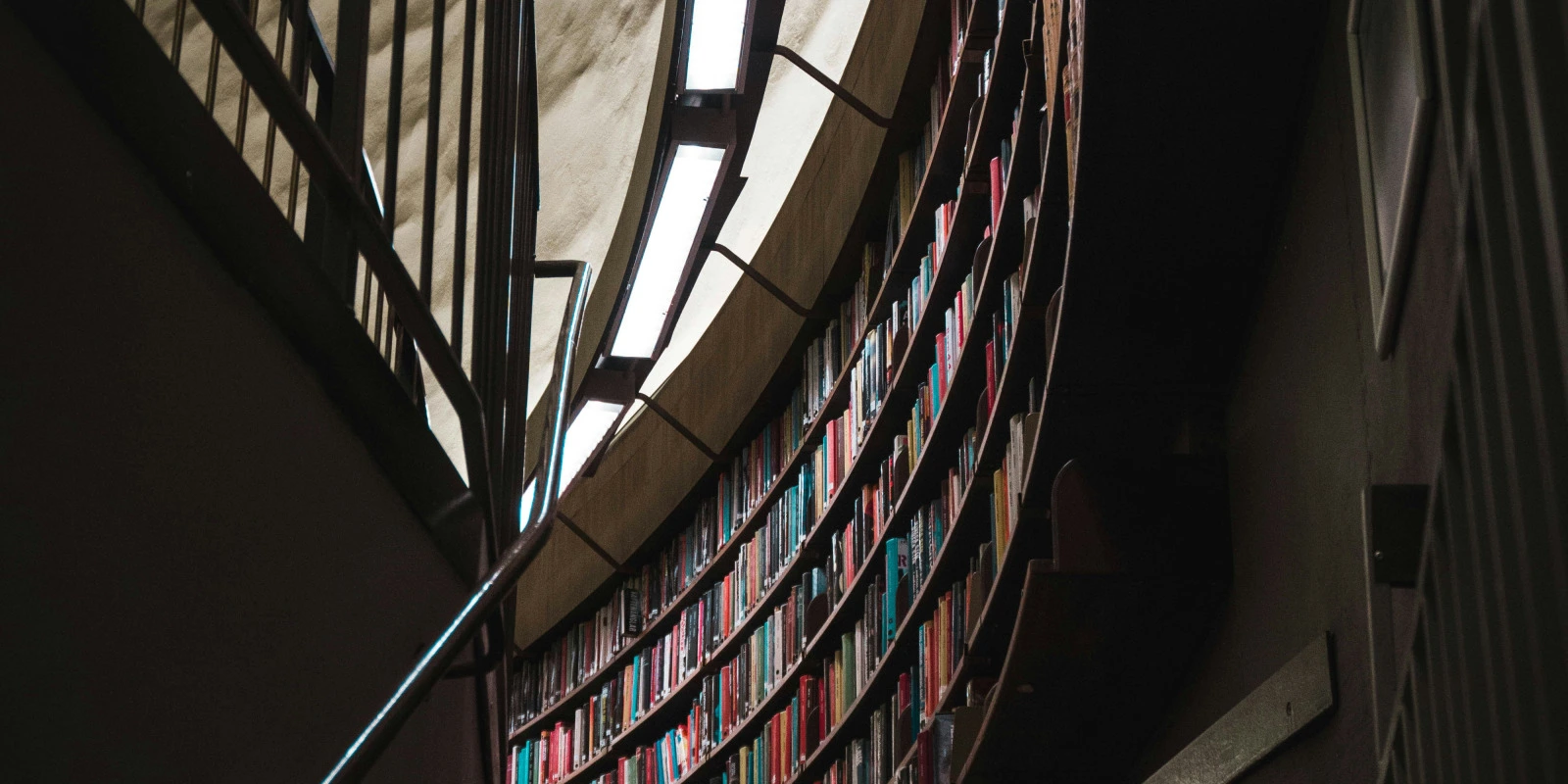 Licence LLCE : Différence Entre LLCER et LEA