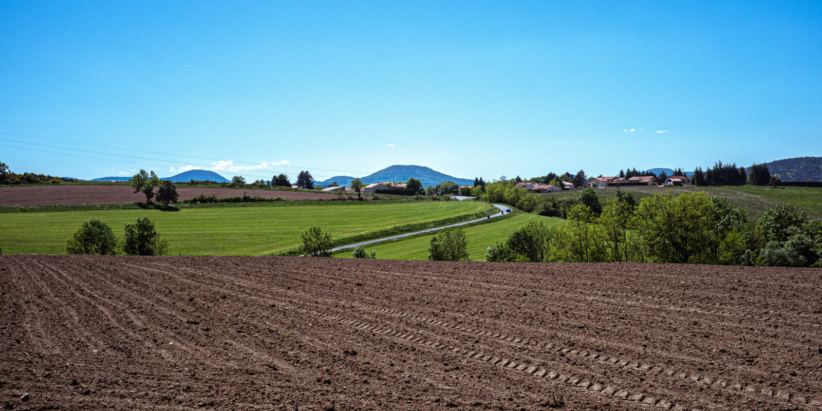 Licence LLCE en Anglais : Avis et Témoignages