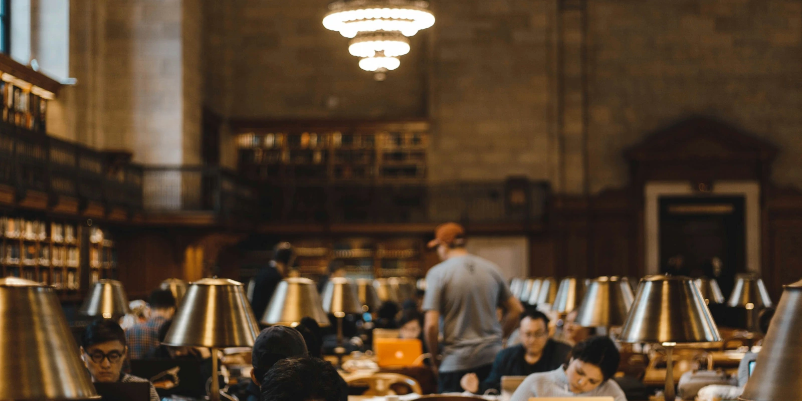 Licence LLCER : Définition et Objectifs