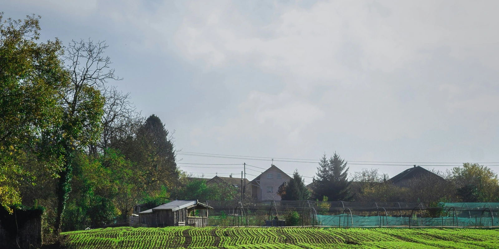 Licence LLCER : Parcours en Études Internationales