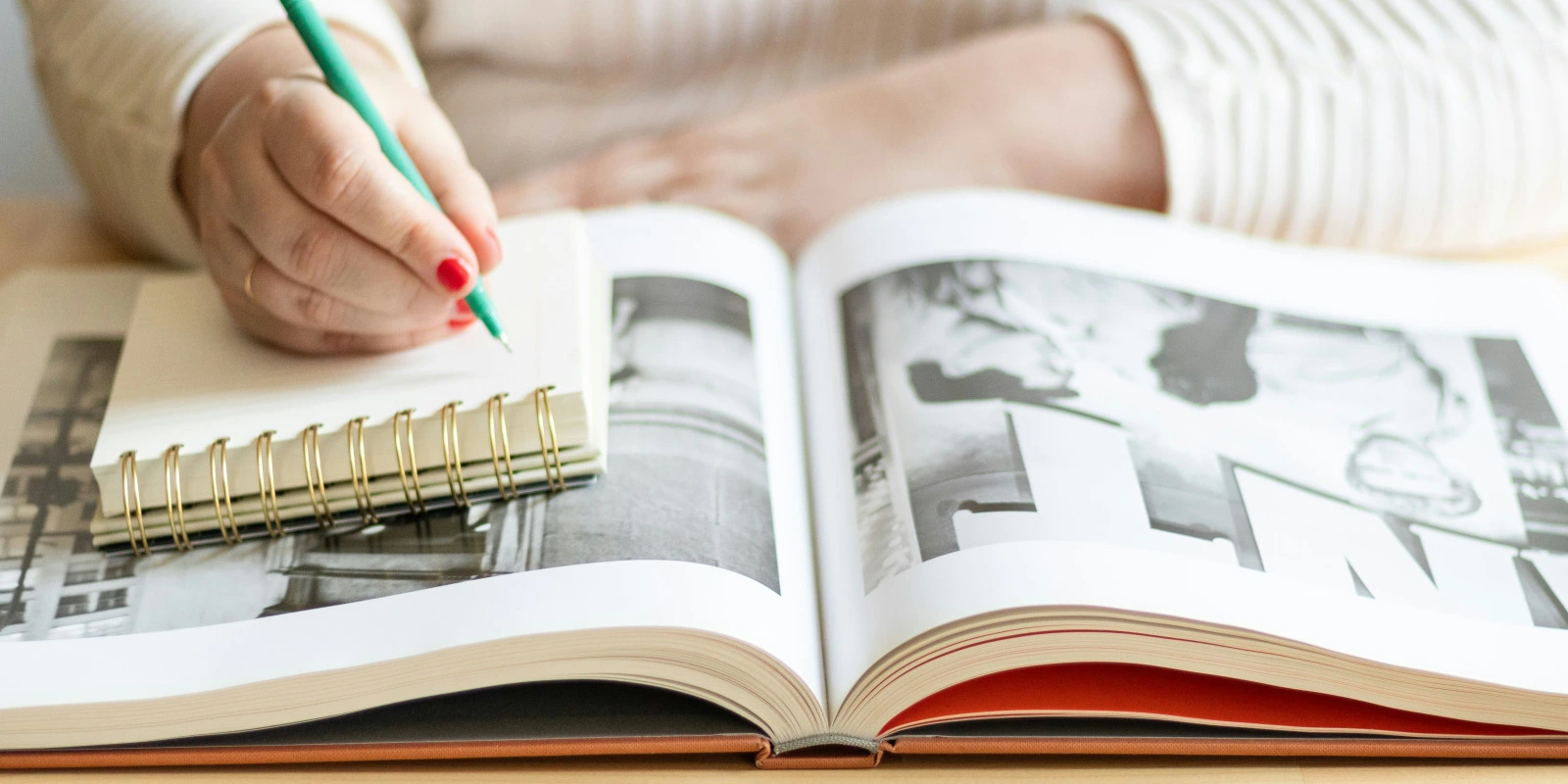 Parcoursup : Comment Choisir la Licence LLCER