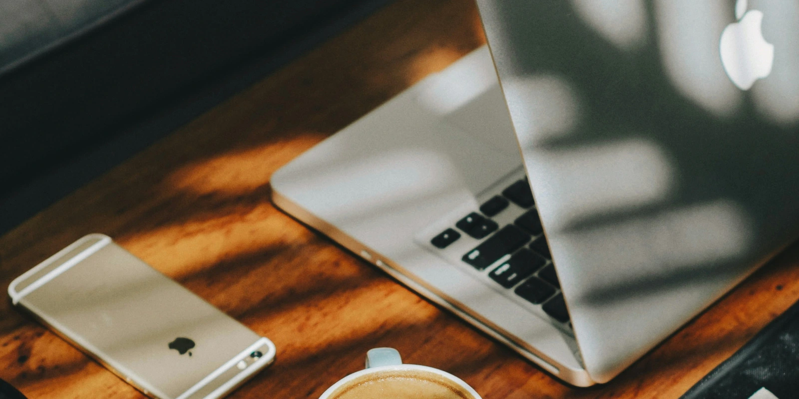 Se Réorienter vers une Licence LLCER